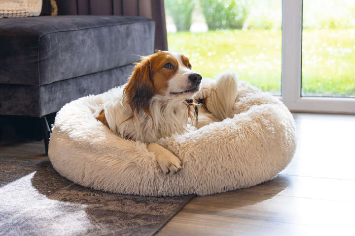 beeztees Hundebett Yala